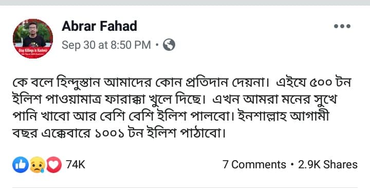 71786850_398220704423860_2074859358797168640_n